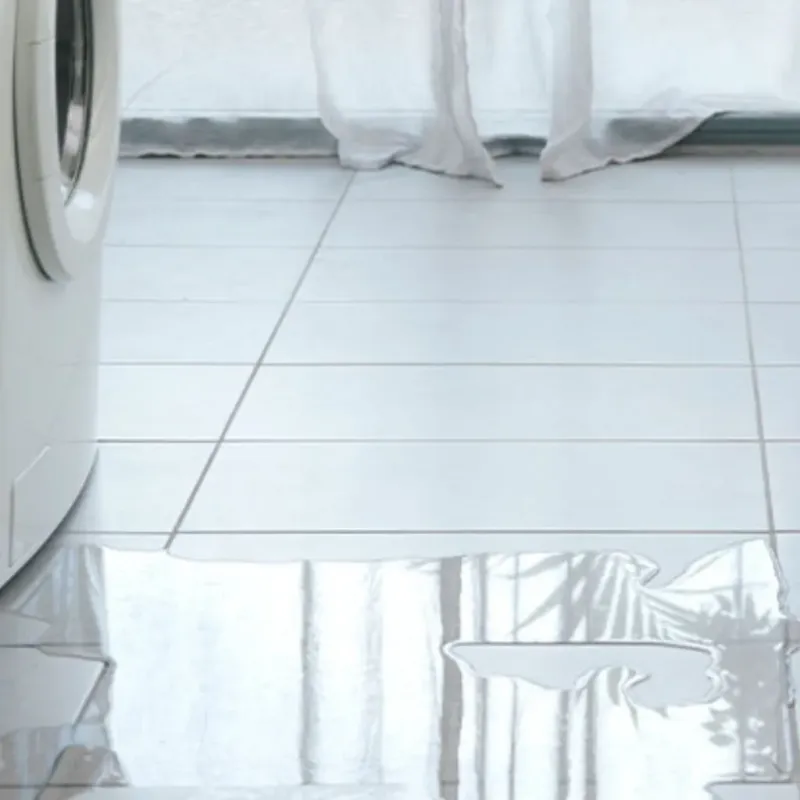 Appliance Leak Cleanup in Washington County, ME