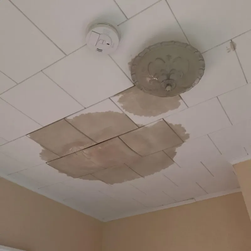 Ceiling Water Damage Repair in Washington County, ME