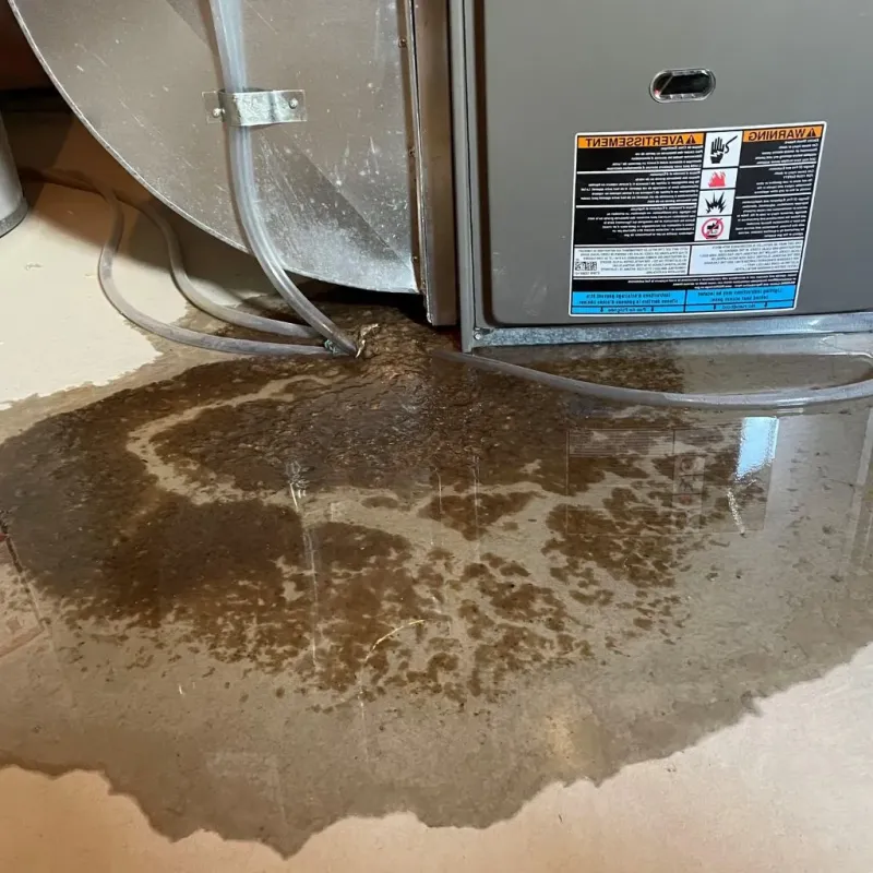 Pipe Burst and Leak Restoration in Washington County, ME